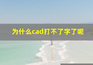 为什么cad打不了字了呢