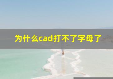 为什么cad打不了字母了