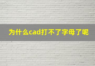 为什么cad打不了字母了呢