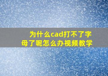 为什么cad打不了字母了呢怎么办视频教学