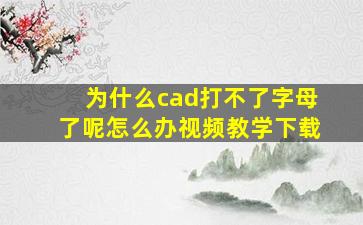 为什么cad打不了字母了呢怎么办视频教学下载