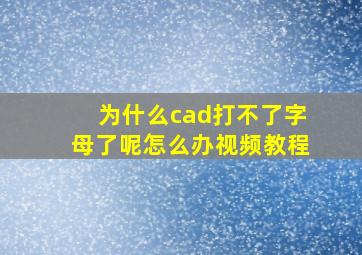 为什么cad打不了字母了呢怎么办视频教程