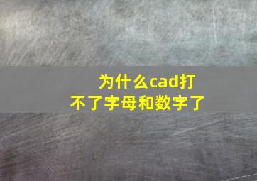 为什么cad打不了字母和数字了