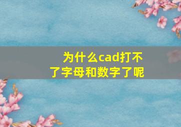 为什么cad打不了字母和数字了呢