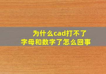 为什么cad打不了字母和数字了怎么回事