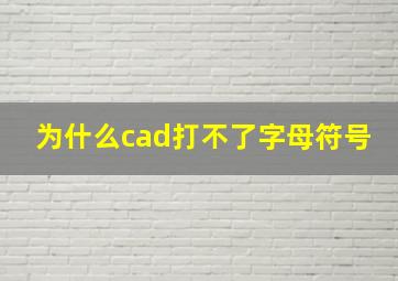 为什么cad打不了字母符号