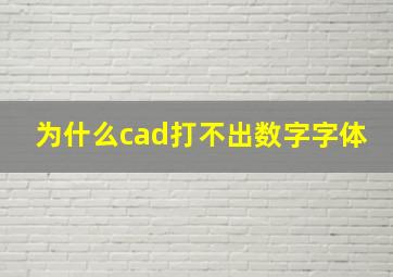 为什么cad打不出数字字体