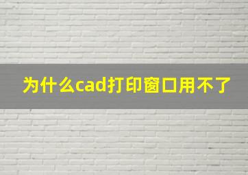 为什么cad打印窗口用不了