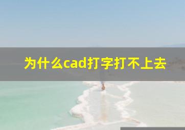 为什么cad打字打不上去