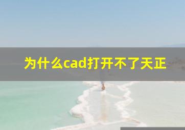 为什么cad打开不了天正