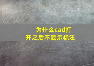 为什么cad打开之后不显示标注