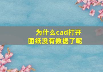 为什么cad打开图纸没有数据了呢