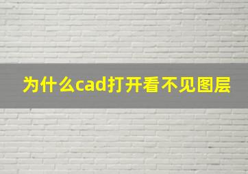 为什么cad打开看不见图层