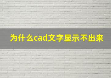 为什么cad文字显示不出来