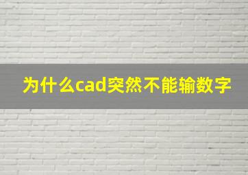 为什么cad突然不能输数字