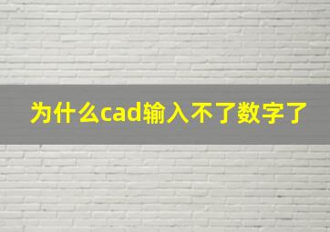 为什么cad输入不了数字了