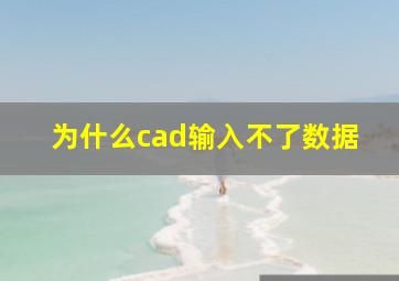 为什么cad输入不了数据