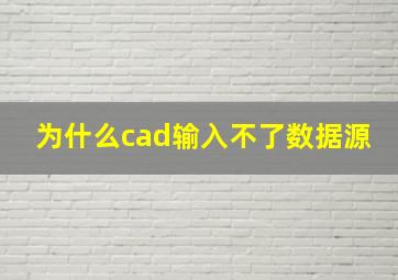 为什么cad输入不了数据源