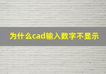 为什么cad输入数字不显示