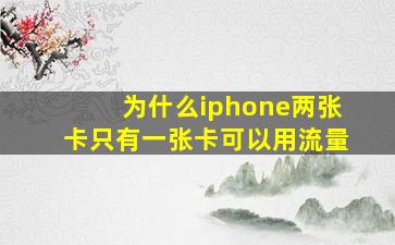 为什么iphone两张卡只有一张卡可以用流量