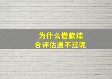 为什么借款综合评估通不过呢