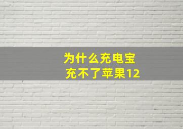 为什么充电宝充不了苹果12