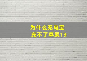 为什么充电宝充不了苹果13