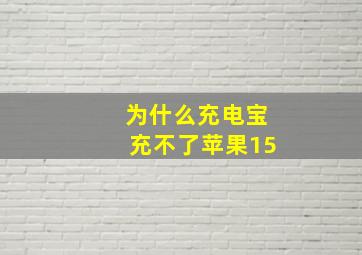 为什么充电宝充不了苹果15