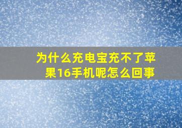 为什么充电宝充不了苹果16手机呢怎么回事