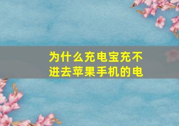 为什么充电宝充不进去苹果手机的电