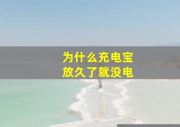 为什么充电宝放久了就没电