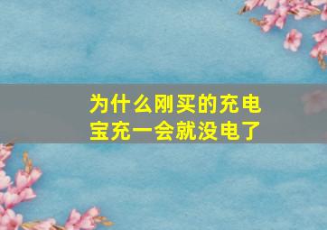 为什么刚买的充电宝充一会就没电了