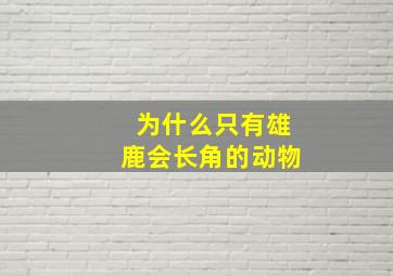 为什么只有雄鹿会长角的动物