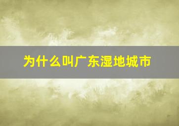 为什么叫广东湿地城市