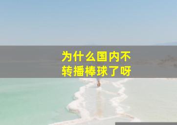 为什么国内不转播棒球了呀