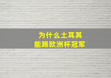 为什么土耳其能踢欧洲杯冠军