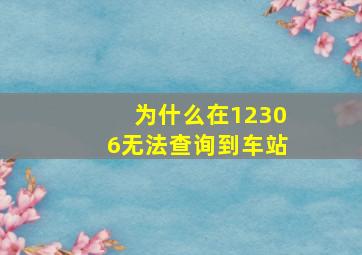 为什么在12306无法查询到车站