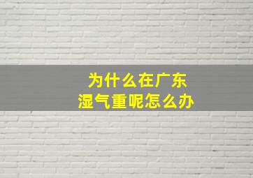 为什么在广东湿气重呢怎么办