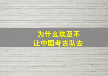 为什么埃及不让中国考古队去