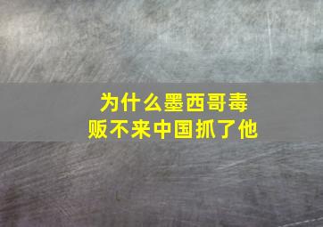 为什么墨西哥毒贩不来中国抓了他