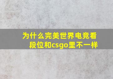 为什么完美世界电竞看段位和csgo里不一样