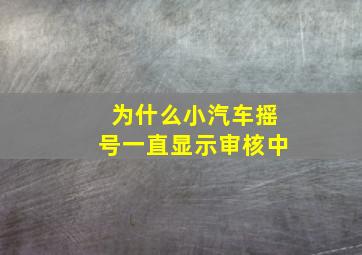 为什么小汽车摇号一直显示审核中