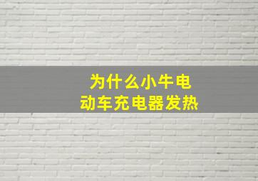 为什么小牛电动车充电器发热