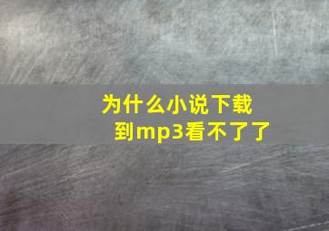 为什么小说下载到mp3看不了了