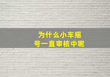 为什么小车摇号一直审核中呢