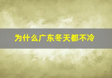 为什么广东冬天都不冷