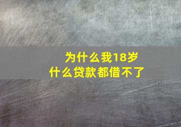 为什么我18岁什么贷款都借不了