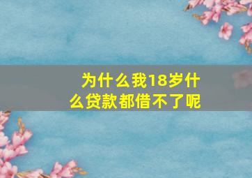 为什么我18岁什么贷款都借不了呢