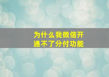 为什么我微信开通不了分付功能