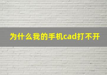 为什么我的手机cad打不开